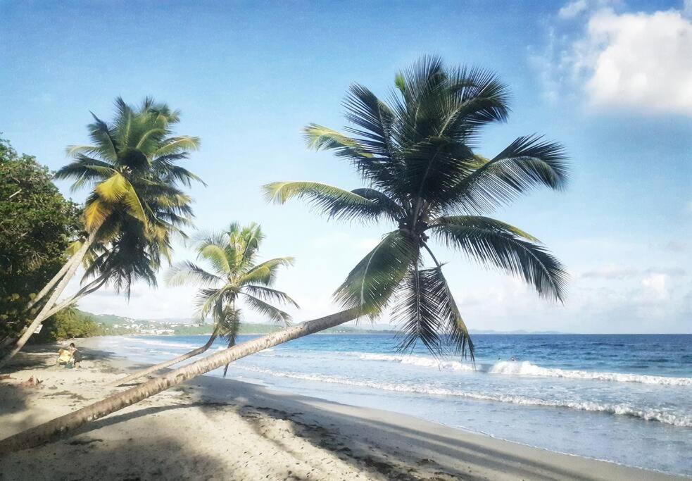 Superbe studio, à 20 mètres de la plage, accès direct Grande Plage Diamant Le Diamant Extérieur photo