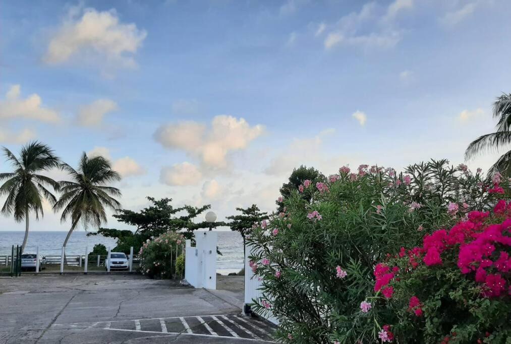 Superbe studio, à 20 mètres de la plage, accès direct Grande Plage Diamant Le Diamant Extérieur photo